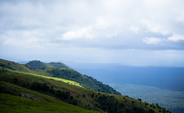 不能掉以轻 不能掉以轻