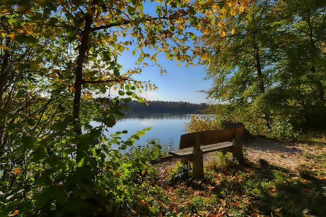 绝不仅仅是 绝不仅仅是