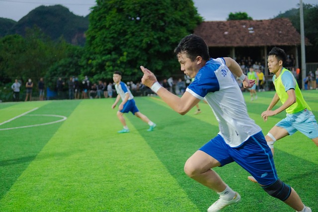 以适应新的 以适应新的