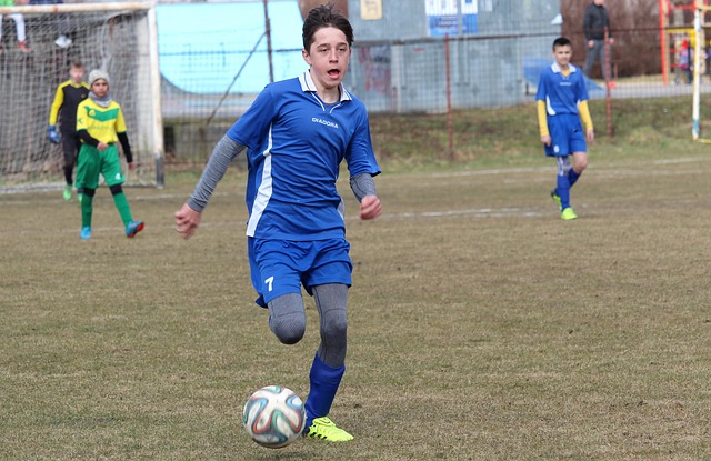 相互竞争与 相互竞争与