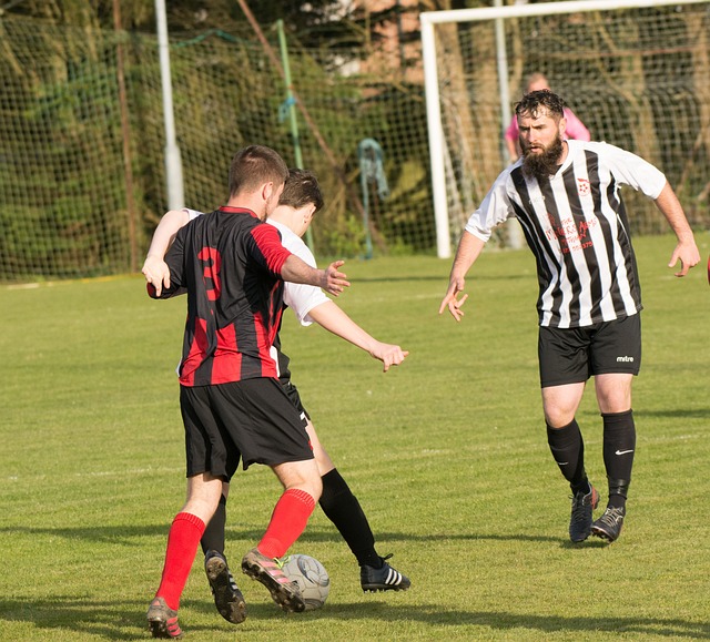 感激和忠诚 感激和忠诚