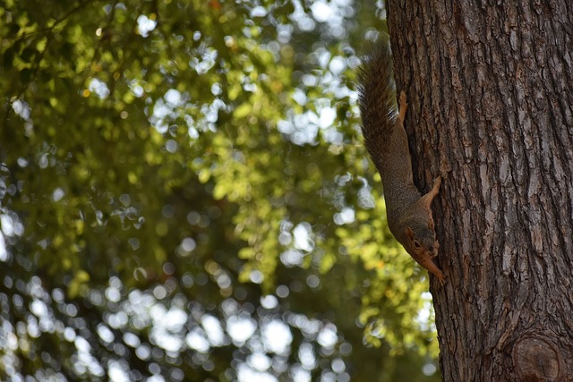 精彩瞬间 精彩瞬间