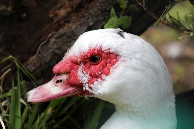 受採訪時表 受採訪時表