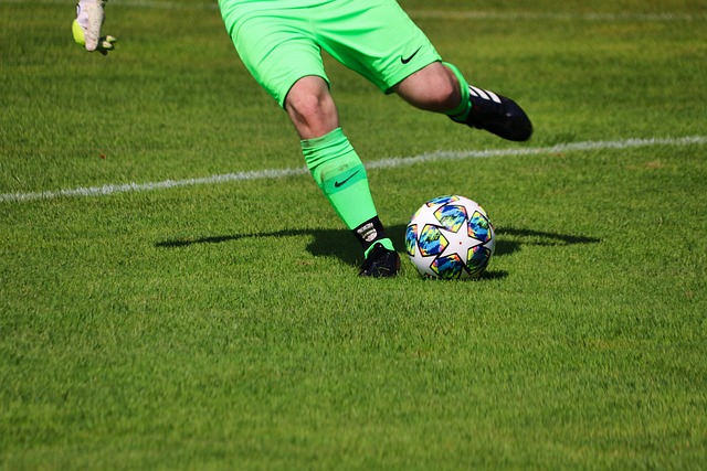 许多研究也 许多研究也