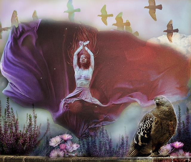 再次捍卫了 再次捍卫了