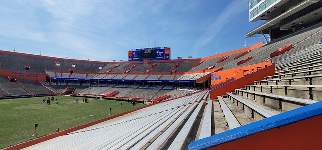 的篮球生涯 的篮球生涯