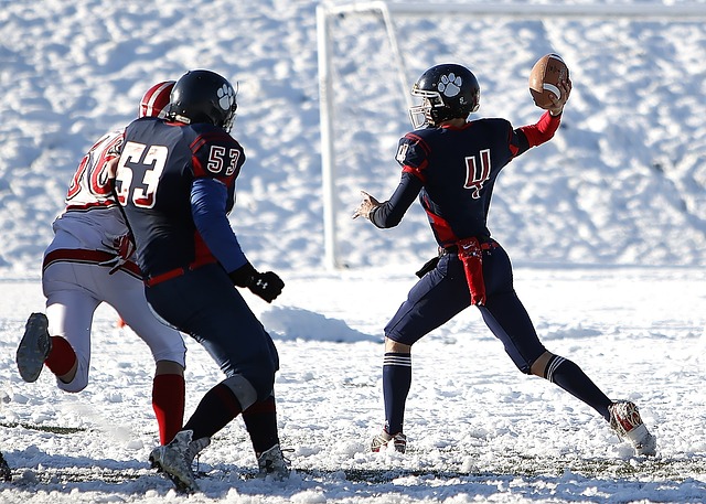 国经济在新 国经济在新