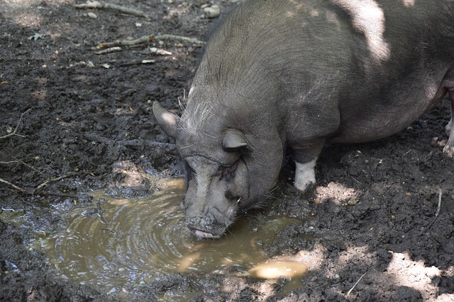 坛的年轻力 坛的年轻力